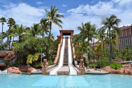 Fotos de stock gratuitas de agua, aquaventure, atlantis bahamas