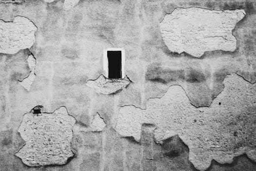 一堵老旧墙壁的特写，石膏纹理破裂，呈黑白两色