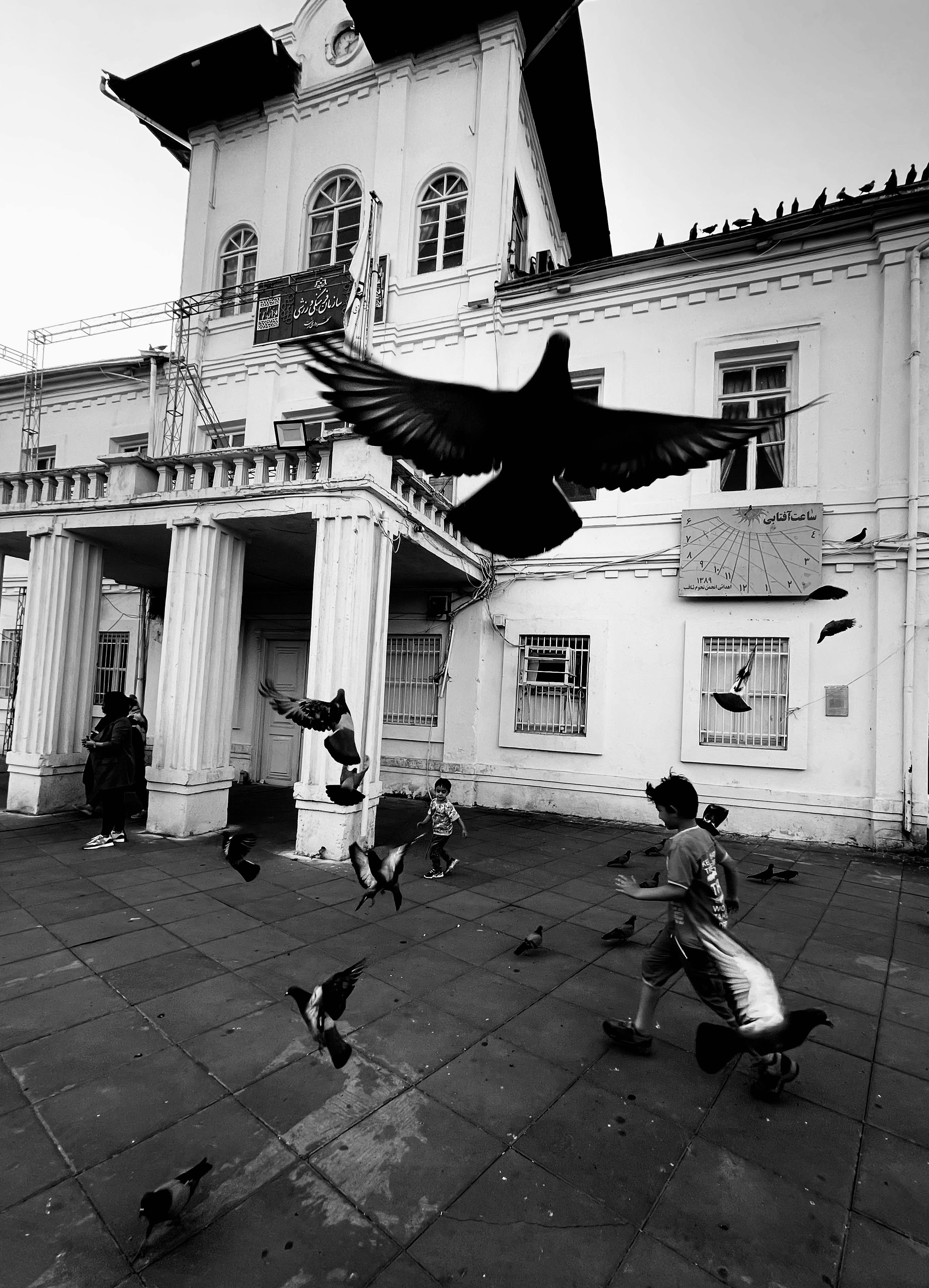 Children play among pigeons in front of an urban building, dynamic and lively.