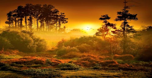 Free Sunset View from the Grass Field Stock Photo