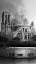 Incendie de Notre-Dame de Paris