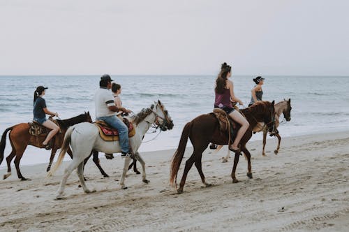 Pessoas Andando A Cavalo Na Praia