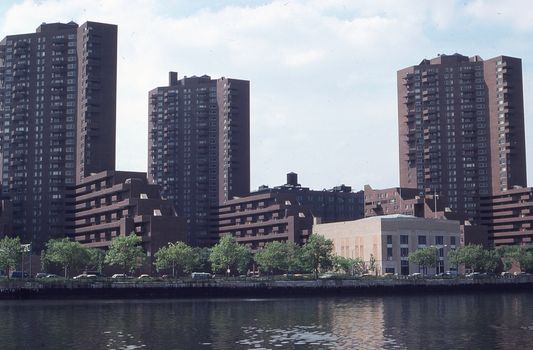 The Bronx