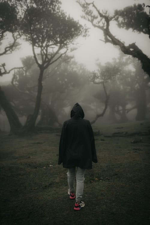 Man Walking in Foggy Forest