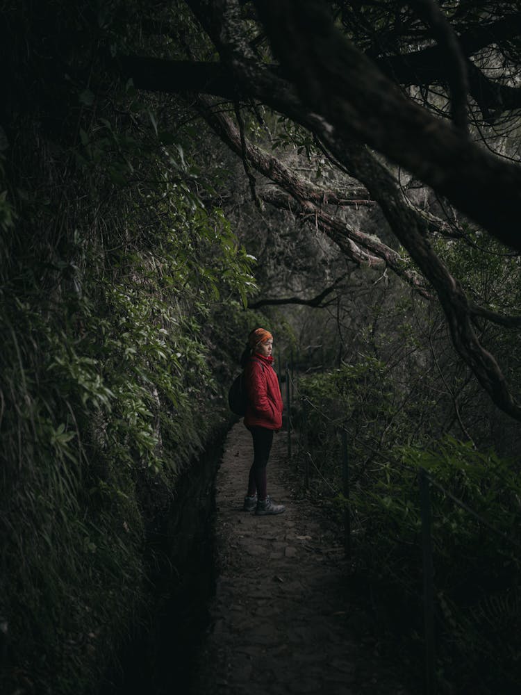 Woman Walking Path In Forest