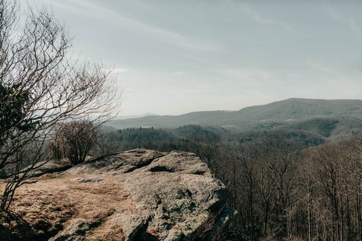 Expansive view of Asheville's mountains and forest, capturing the essence of fall.