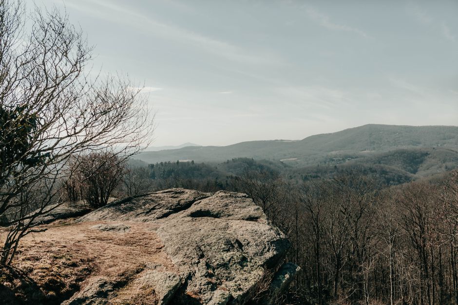 Expansive view of Asheville's mountains and forest, capturing the essence of fall.