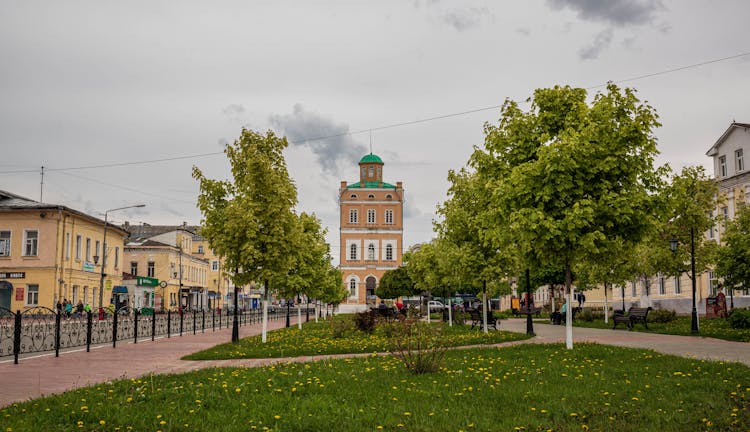 Square With Trees In Town