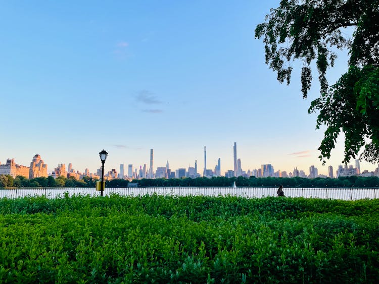 City And River Landscape