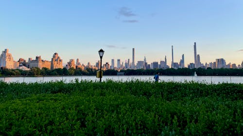 Free Landscape Photography of Central Park Stock Photo