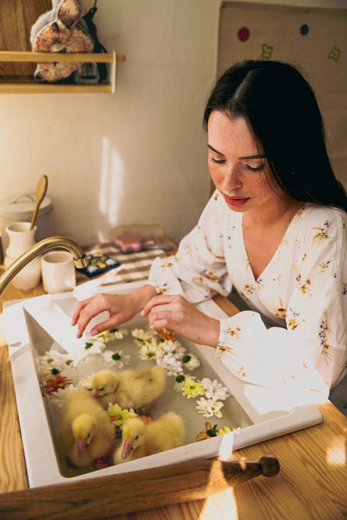 Free Woman Keeping Baby Ducks in a Sink with Flowers Stock Photo