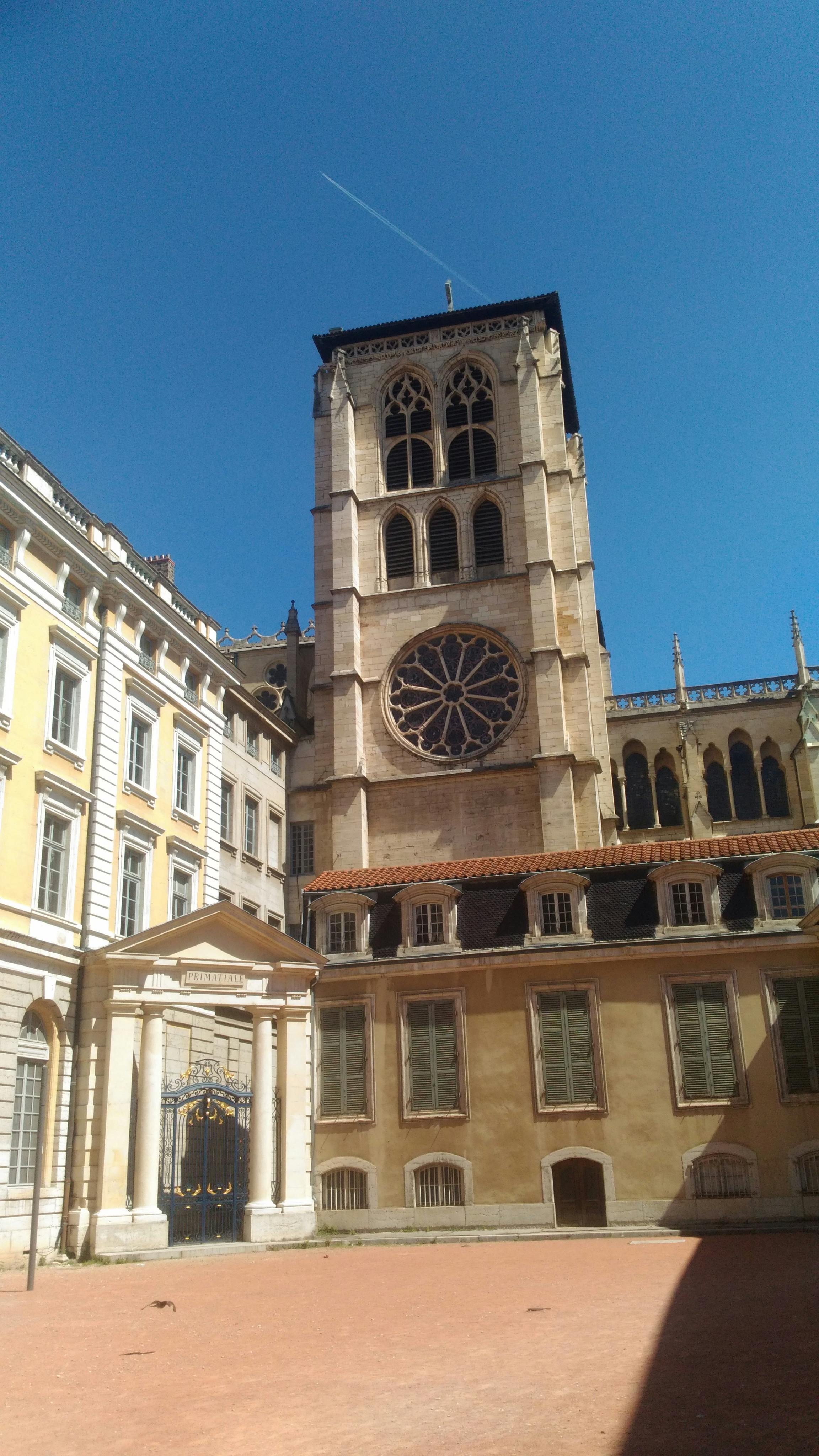 AI 기반 자동화 시스템으로 효율을 높이는 스마트팜