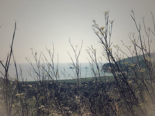 Free Бесплатное стоковое фото с берег, берег моря, береговая линия Stock Photo