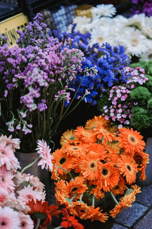Free A colorful assortment of flowers in a florist shop, showcasing vibrant orange, purple, blue, and pink blooms. Stock Photo