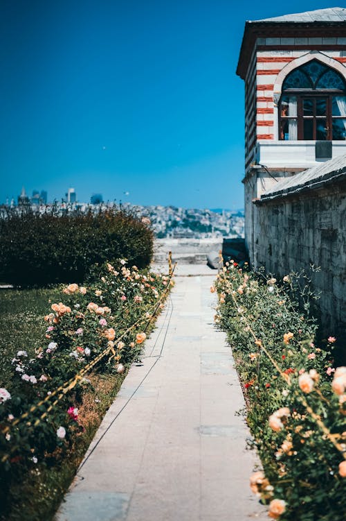 açık mavi gökyüzü, binalar, çalı içeren Ücretsiz stok fotoğraf