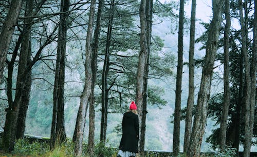 Woman in Coat and Pink Hat in Forest