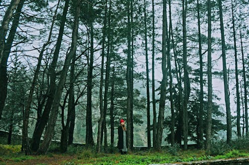 Woman Standing under Tall Trees
