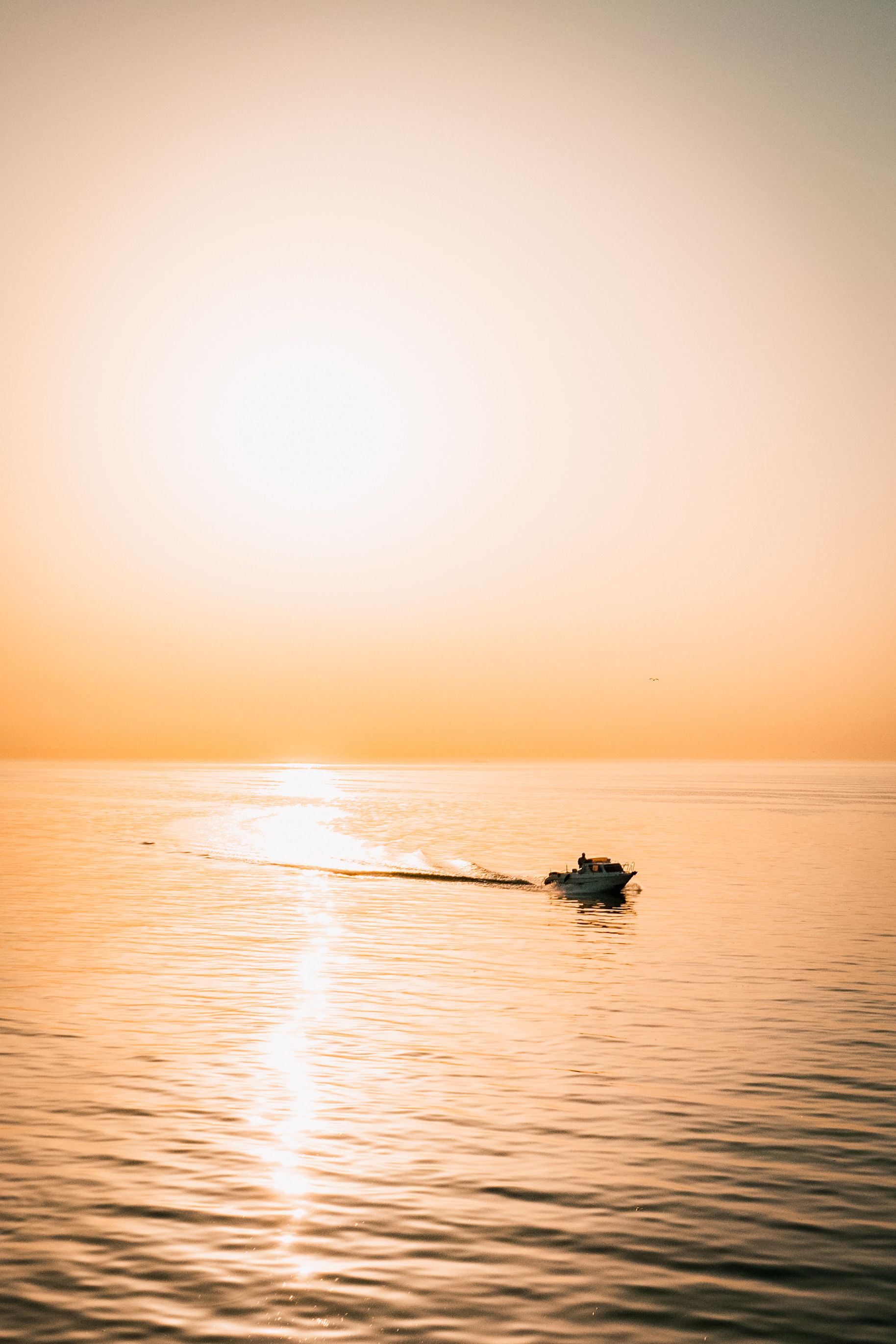 Photo of a Person on Boat During Golden Hour · Free Stock Photo