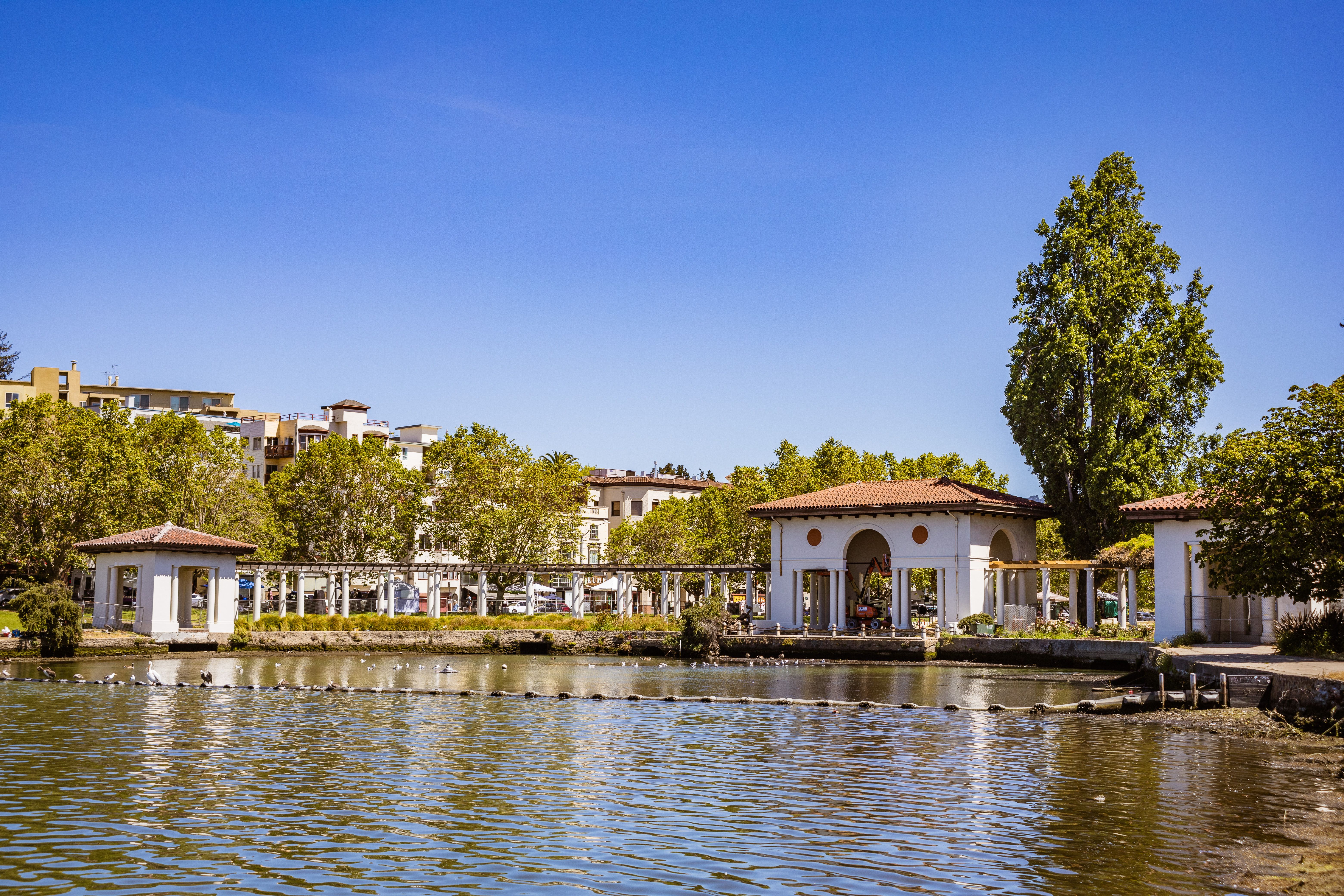 Peaceful lakeside scene with blue sky and lush greenery, ideal for nature enthusiasts.