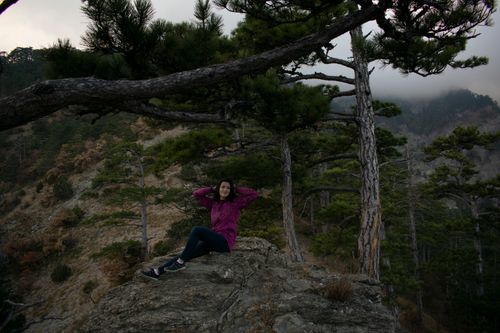 Free A woman in a purple jacket relaxes on a rocky ledge in a serene, misty forest, surrounded by tall trees. Stock Photo