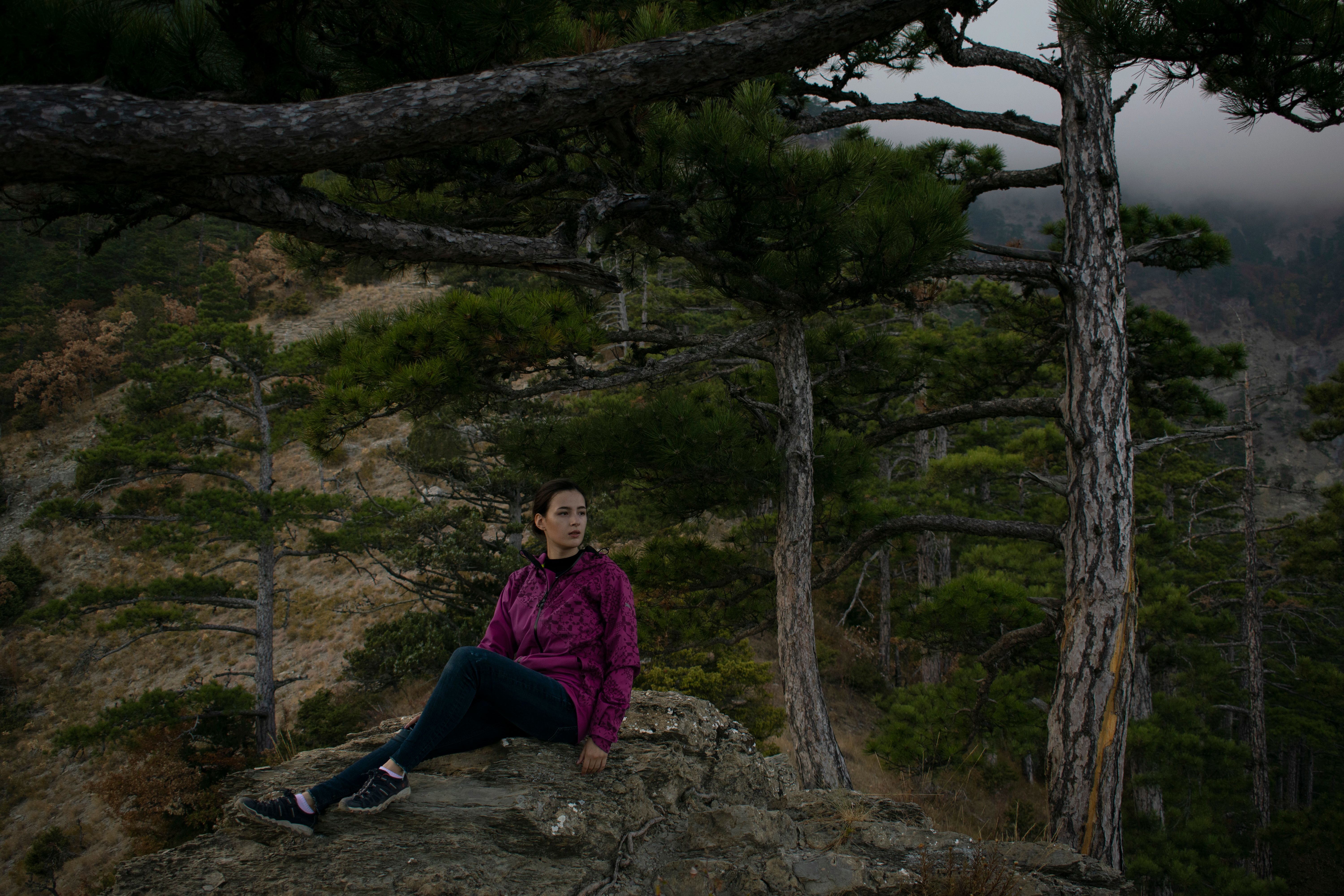 A woman in a purple jacket sits on rocks surrounded by pine trees in a forest.