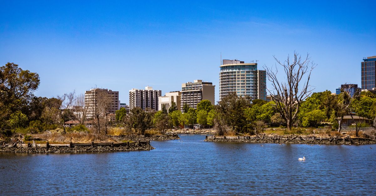 A beautiful city skyline with a tranquil lake and lush greenery on a sunny day.
