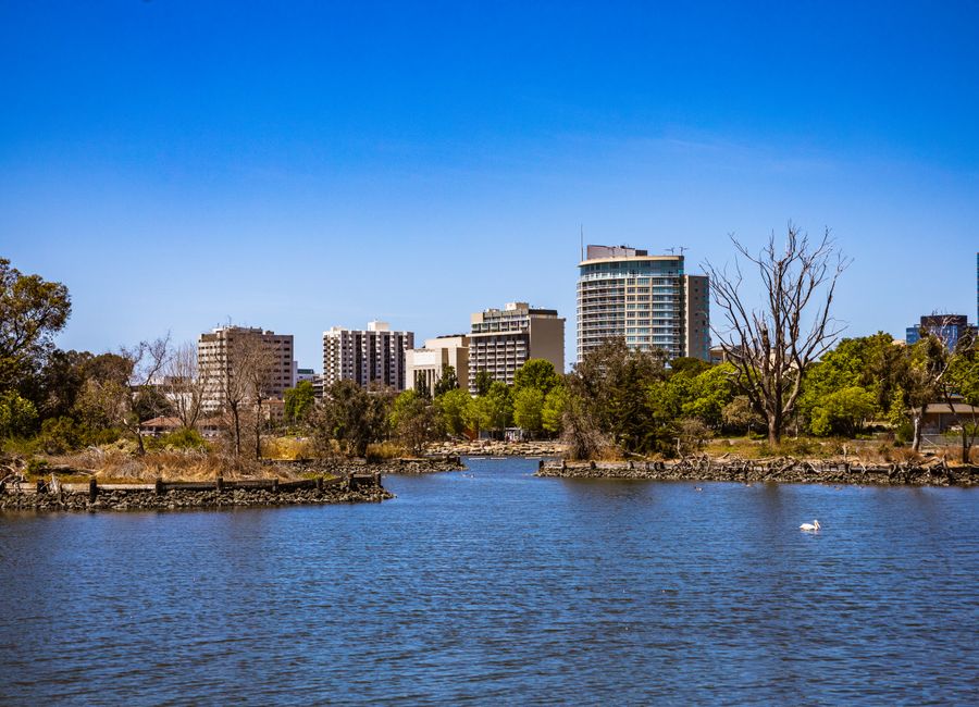 A beautiful city skyline with a tranquil lake and lush greenery on a sunny day.