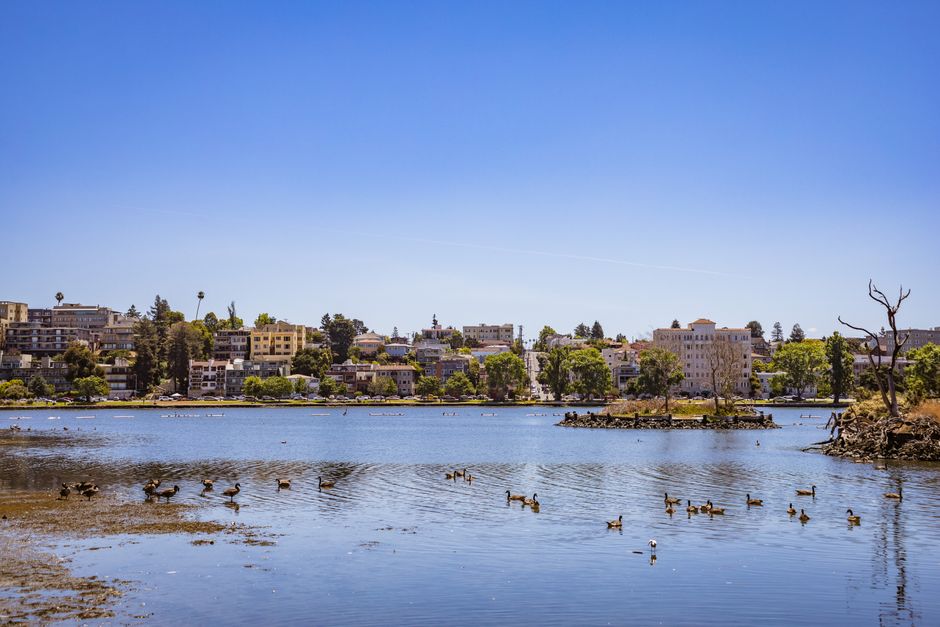 Oakland's Burdell and the Service Fee Storm: A Deep Dive into the Viral Reddit Backlash