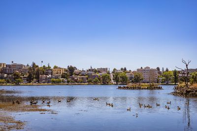 Oakland