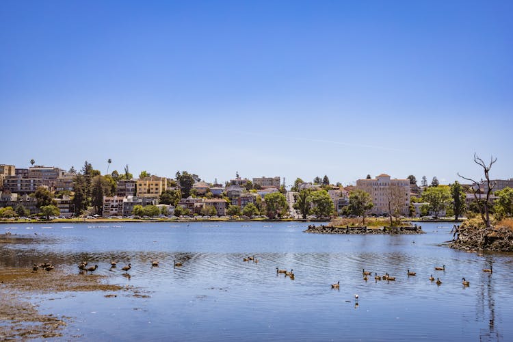 Lake And Town Landscape