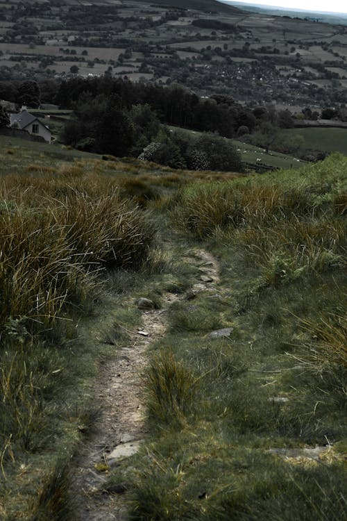 Narrow Pathway on a Hill