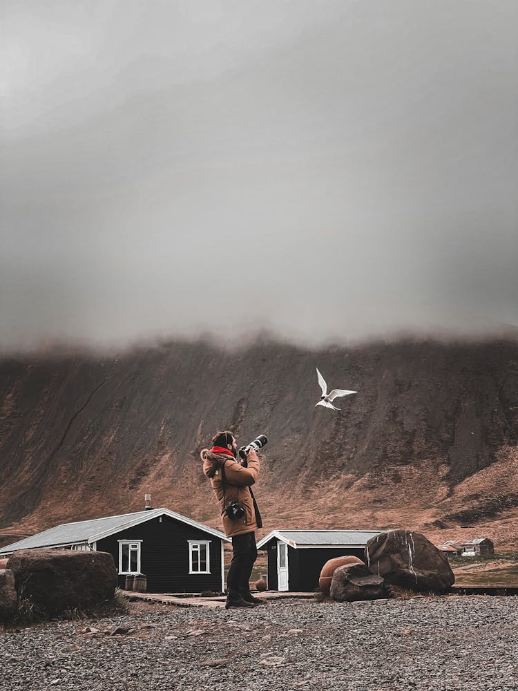 Man With Professional Camera Photographing Bird In Mountains