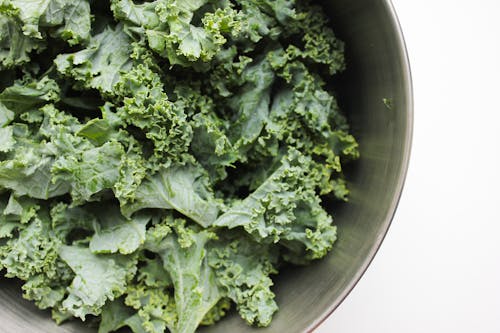 Fresh Kale Leaves on a Stainless Bowl