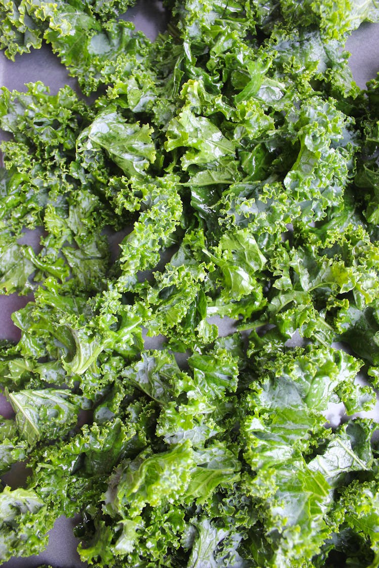 Fresh Kale Leaves