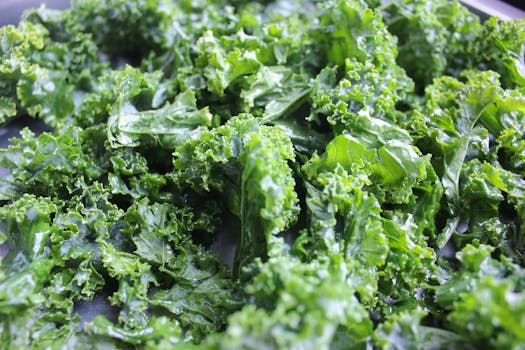 Vibrant close-up of fresh green kale leaves showcasing texture and color.