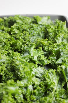 Vibrant green organic kale leaves captured in a close-up shot on a tray.