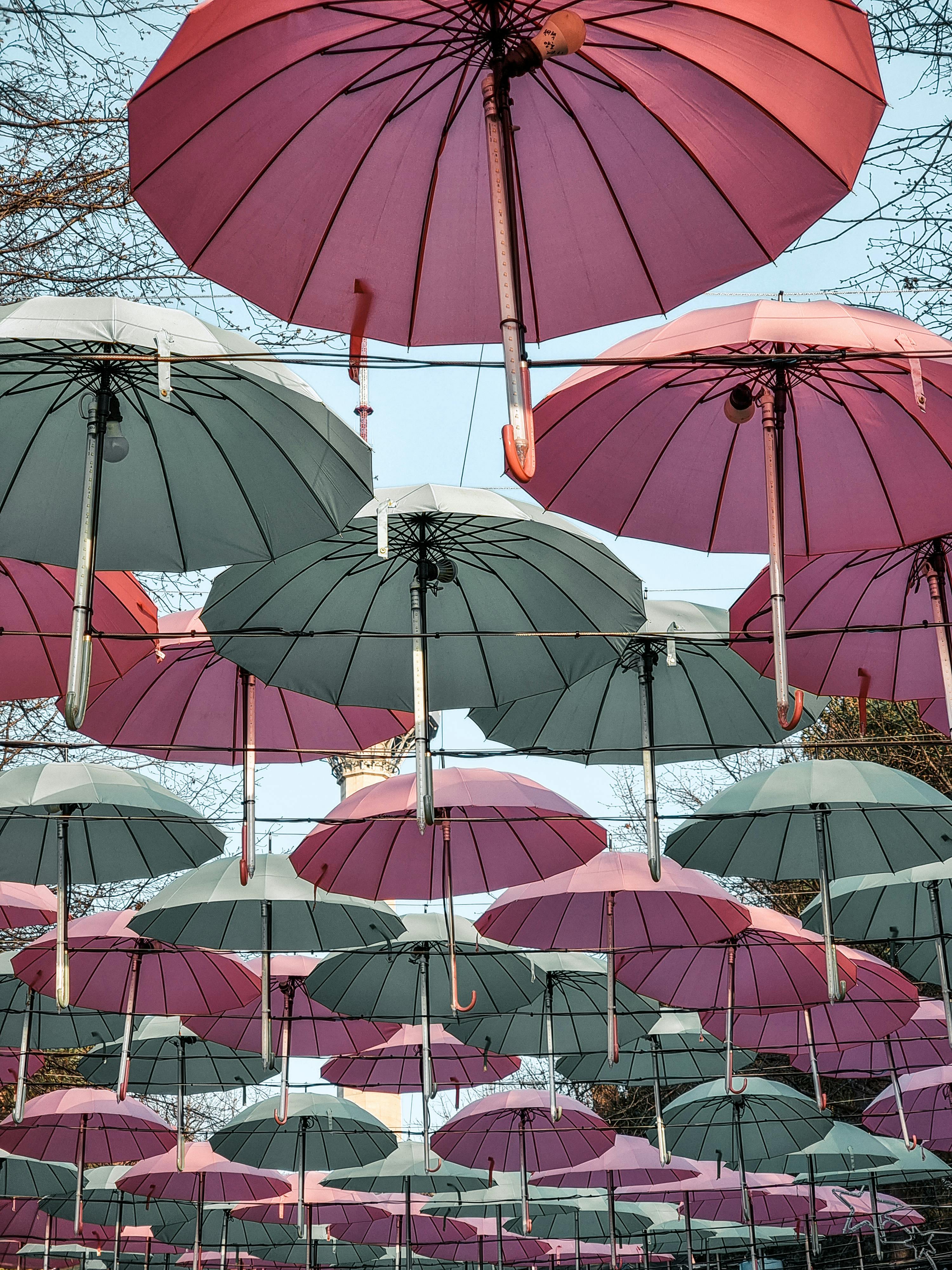 Sunblinds Photos, Download The BEST Free Sunblinds Stock Photos & HD Images