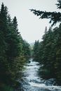 Streamed Images