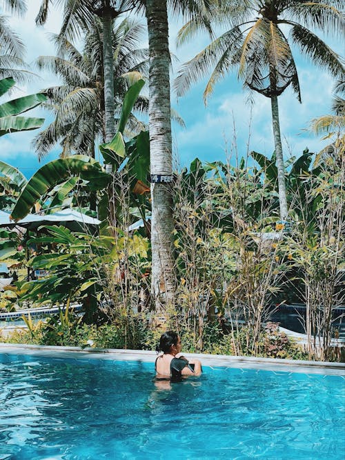 Fotobanka s bezplatnými fotkami na tému exotický, palmy, plávanie