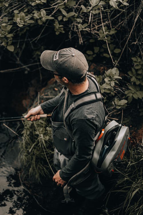 Gratis stockfoto met backpack, Bos, bossen