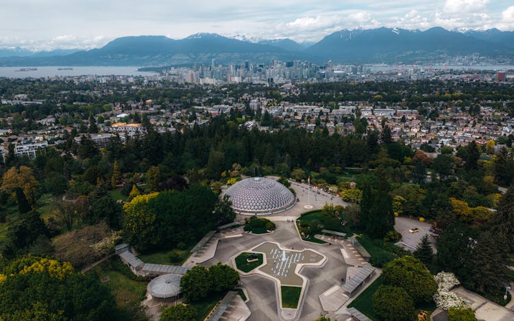 Aerial View Of Trees Near Buildings And Mountain