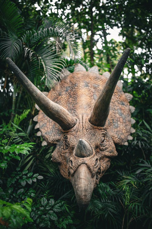 Бесплатное стоковое фото с styracosaurus, вертикальный, джунгли