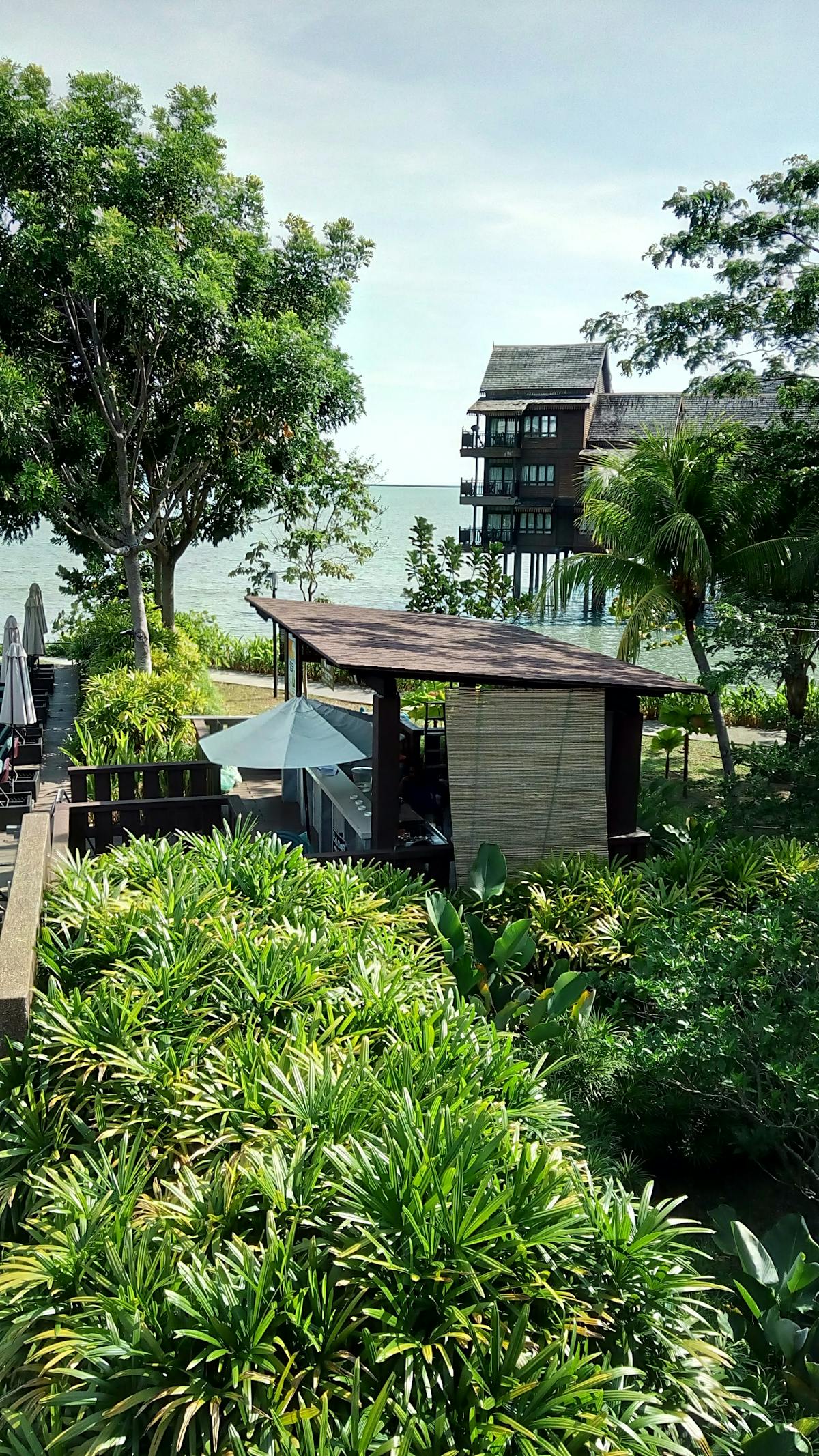 Assorted toast slices with creamy toppings and fresh vegetables on a wooden board