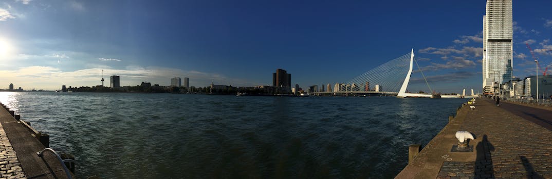 Panoramic view of Erasmusbrug Bridge and Rotterdam skyline at sunset from the riverfront.