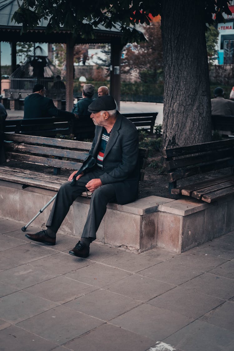 Elderly Man With Cane Sitting On Bench Under Tree