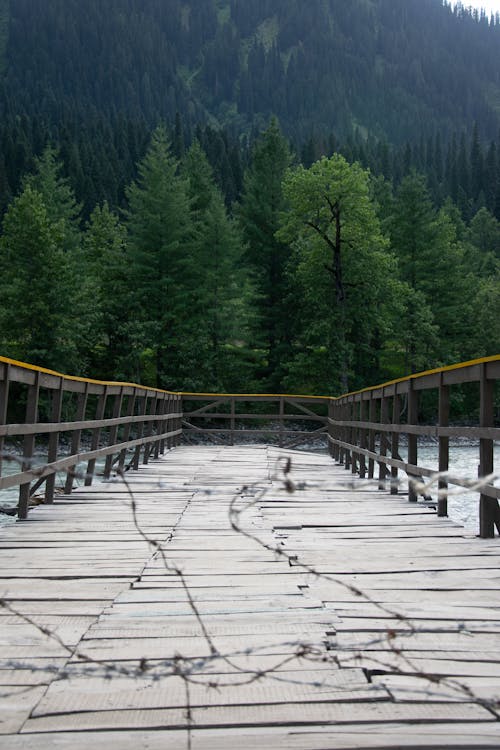 Wooden Bridge in Mountains Landscape