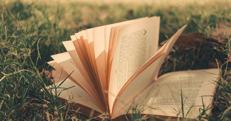 Lire pour comprendre : les livres qui accompagnent une épreuve