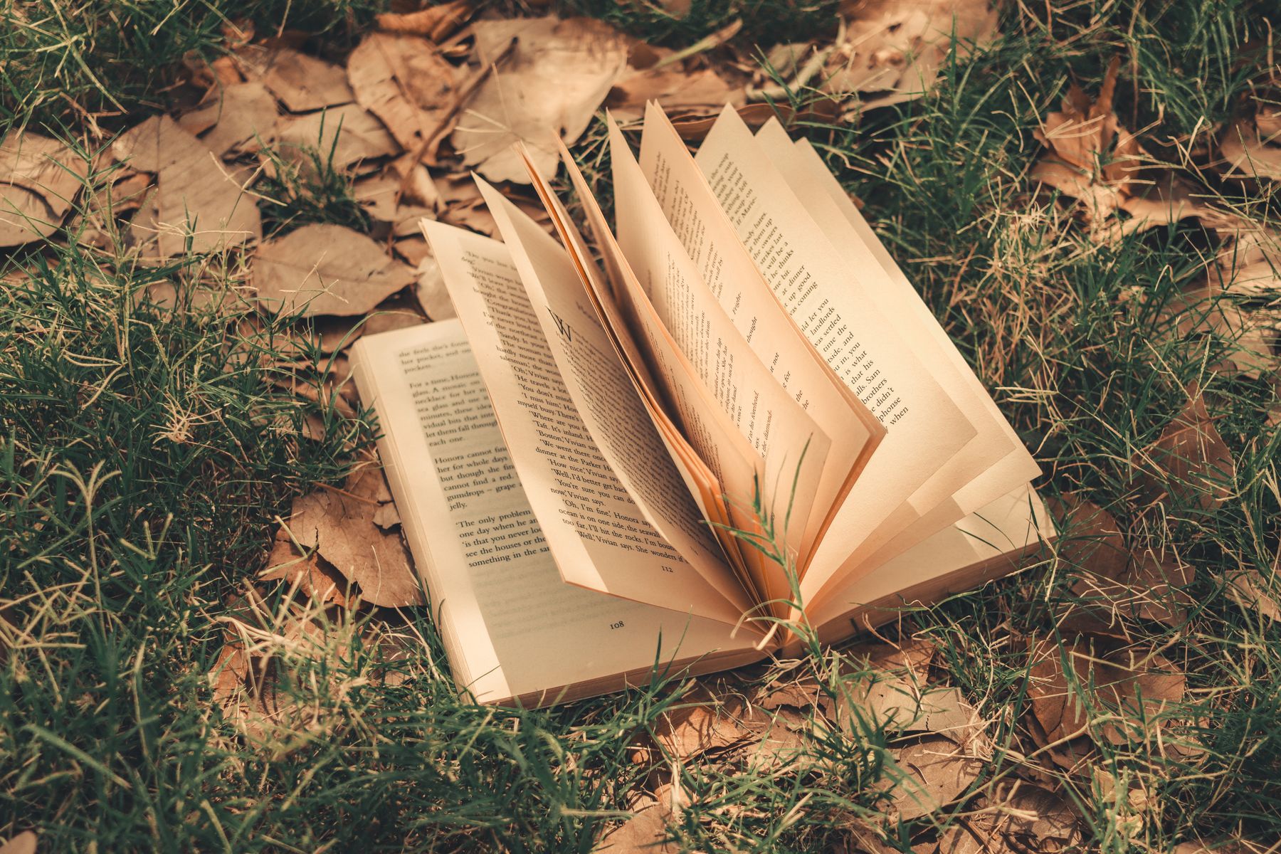 Reading in Autumn: Seasonal Menus and the Pubs Worth Booking For