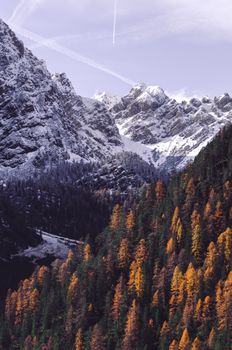 Breathtaking view of snow-capped peaks and autumn-colored forests in Trentino, Italy.