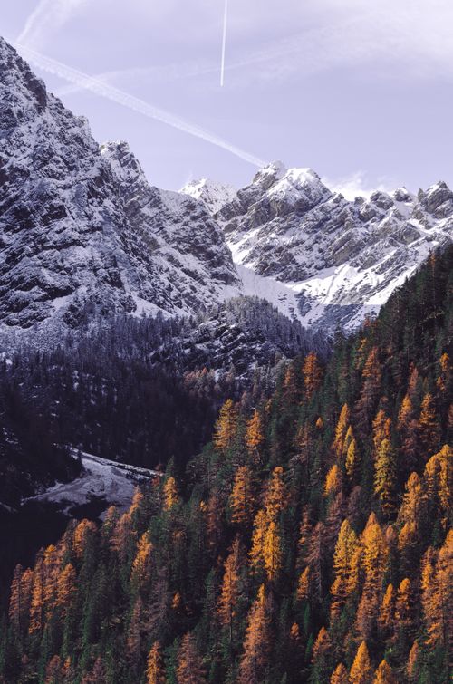 Free Breathtaking view of snow-capped peaks and autumn-colored forests in Trentino, Italy. Stock Photo